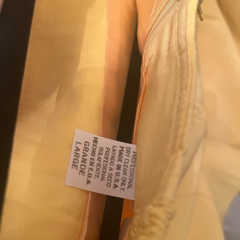 Rare Vintage corset with skirt set - Picture 2 of 10